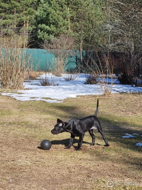 2.5 месяца. Первый выезд на природу.